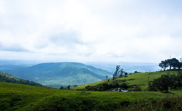 五万人齐喊他的名字，太燃